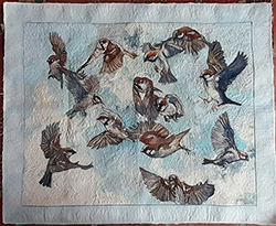 A Bucketfull of Birds